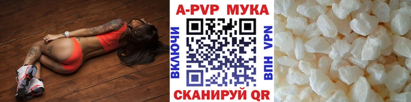OMG ССЫЛКА  Фёдоровский  Alfa_PVP СК 