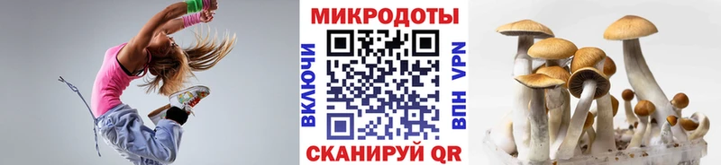 KRAKEN сайт  Фёдоровский  Псилоцибиновые грибы Cubensis 